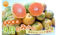 9月の御浜柑橘　秋みかん5キロ 先行予約 果物 フルーツ みかん 極早生 極早生みかん 5kg