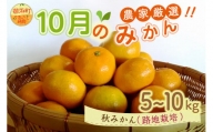 10月の御浜柑橘　秋みかん5～10キロ 果物 フルーツ みかん 極早生みかん 極早生 5kg ～ 10kg