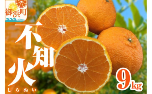 【2026年発送 先行予約品】ミカファームの不知火9キロ【数量限定 果物 フルーツ みかん 不知火 しらぬい デザート 9kg 三重県 御浜町】