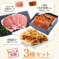 鹿児島県産うなぎ（3尾）・黒豚ロース（5枚入×2）・黒豚餃子セット