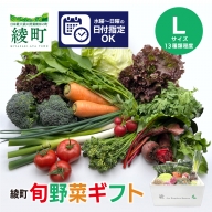 綾町旬野菜ギフト（Lサイズ）（04-69）無農薬 減農薬 栽培期間中 新鮮 産地直送