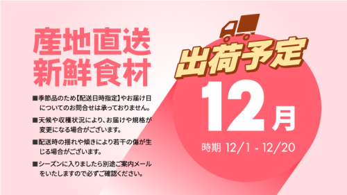 12月 田子の贈答用りんご詰合せ約5kg（14～18玉程度）山市美貴子さん生産直送