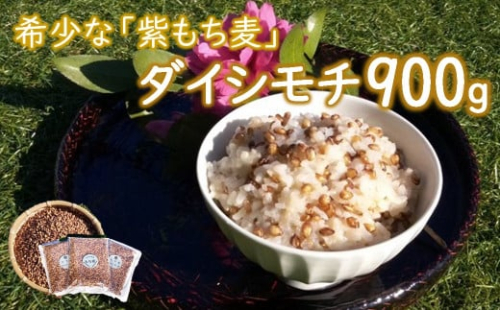 山々と源流の山国町「nakano麦園」の希少な『紫もち麦』ダイシモチ300g×3袋 | 900g 900グラム 紫もち麦 もち麦 麦 ダイシモチ 紫麦 雑穀 穀物 希少 国産 麦ご飯 大分県 中津市