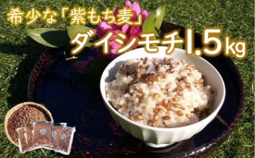 山々と源流の山国町「nakano麦園」の希少な『紫もち麦』ダイシモチ300g×5袋