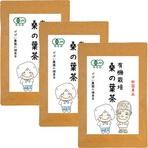 有機栽培 桑の葉茶（3個セット）：B022-016 77249 - 佐賀県佐賀市