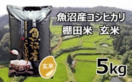 r05-013-001 魚沼産コシヒカリ・棚田米 玄米5kg