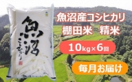 r05-148-001 魚沼産コシヒカリ・棚田米 白米10kg×6回（毎月）