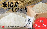令和7年産 魚沼産コシヒカリ 2kg×2袋 小千谷米穀 | 新潟県産 コシヒカリ お米 米 おこめ こめ コメ こしひかり 精米 白米 魚沼産 ブランド米 人気 おすすめ 産地直送 新潟県 小千谷市 [0002-BE01-01]