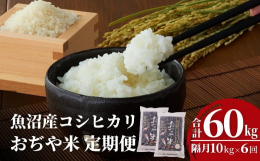 【令和7年産をお届け！】&starf;【定期便】日中と夜の寒暖差が激しいことで生まれる独自の甘みと粘りのある食感が特徴です。キラキラと輝き、一口食べれば口の中に甘みが広がる…そんな魚沼産コシヒ