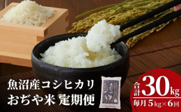 【令和7年産をお届け！】&starf;【定期便】日中と夜の寒暖差が激しいことで生まれる独自の甘みと粘りのある食感が特徴です。キラキラと輝き、一口食べれば口の中に甘みが広がる…そんな魚沼産コシヒ