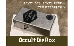 【ふるさと納税】120-434 Occult Dip Box（ヴィンテージサウンドにフォーカスさせたギター・ベース用周波数特性補正フィルター）【TYPE-