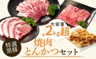 特選黒豚焼肉トンカツセット(約2.1kｇ)