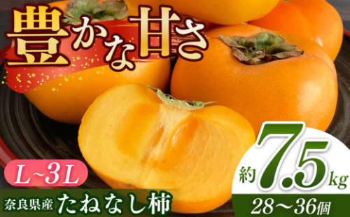 奈良 の たねなし 柿 （約 7.5kg ）| フルーツ くだもの 果物 柿 かき カキ 家庭用 自宅用 ご自宅用 大容量 どっさり たっぷり 甘い 種なし ビタミン 食物繊維 豊富 産地直送 美容 奈良県 五條市 10月 11月 秋 旬 味覚 人気 福西農園 有機質肥料 お取り寄せ グルメ 果実 スイーツ デザート タネなし 送料無料