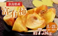 奈良の富有柿（約7.5kg） | フルーツ くだもの 果物 柿 かき カキ 富有柿 奈良県 五條市