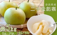 奈良の二十世紀梨（約5kg） | フルーツ くだもの 果物 なし ナシ 梨 奈良県 五條市 二十世紀 20世紀