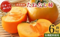 たねなし柿 約6.0kg  | フルーツ 果物 くだもの 柿 かき カキ 奈良県 五條市