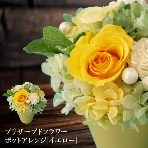 プリザーブドフラワー　ポットアレンジ（イエロー）【14001401】 77331 - 北海道恵庭市