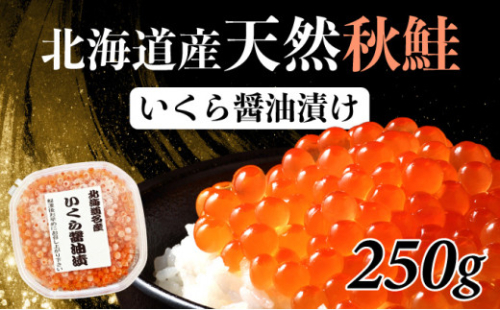 北海道産 天然秋鮭 いくら醤油漬け 250g(250g×1) 773481 - 北海道登別市