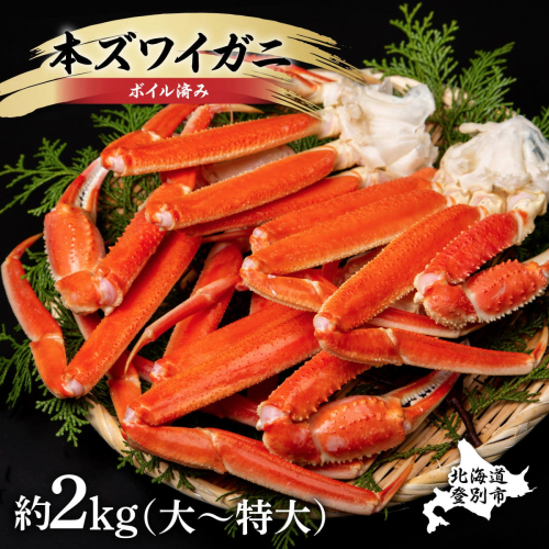 殻付き 本ずわいがに 肩脚 2kg 年末年始 お歳暮 正月 ギフト 2025 773575 - 北海道登別市