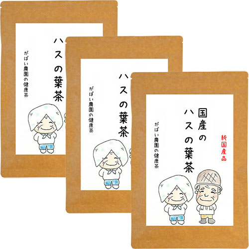 国産 ハスの葉茶（3個セット）：B019-047 77382 - 佐賀県佐賀市