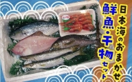 山陰直送 旬の鮮魚と干物の詰め合わせ　※北海道、沖縄、一部離島への配送不可