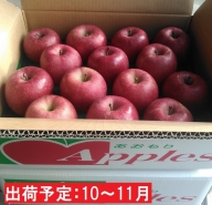 10～11月 【訳あり】キラ農法 完熟りんご　シナノスイート約5kg