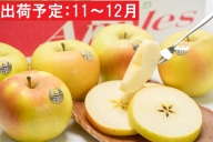 11～12月 贈答用 キラ農法 特選クラス 完熟りんご ぐんま名月 約3kg 【青森りんご・平川市広船産・11月・12月】
