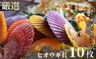 【期間・数量限定！】甘みが強く肉厚でジューシーなイロトリドリヒオウギ貝10枚セット ヒオウギ貝 BBQ アウトドア キャンプ 海の幸 ホタテ ひおうぎ貝 ほたて 新鮮 魚介 国産
