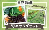 【定期便】自然栽培 旬のサラダセット 約1kg×3回