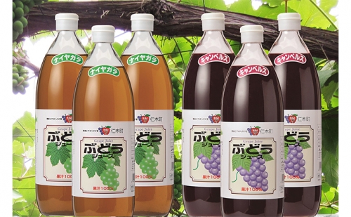 北海道仁木産ぶどうジュース飲み比べセット（キャンベルス、ナイヤガラ）：6本 77513 - 北海道仁木町