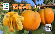 340310　数量限定【島根県川本町産】伊藤さんの西条柿5kg(25～26個)
