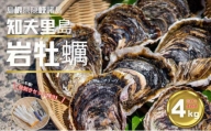知夫里島産　岩牡蠣　４kg