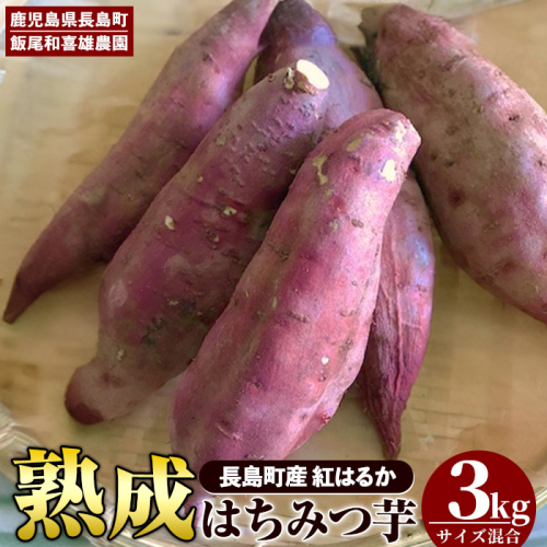 《先行予約》〈数量限定〉和喜雄さんといつみさんのはちみつ芋(計3kg)【飯尾和喜雄農園】iio-7086 77534 - 鹿児島県長島町