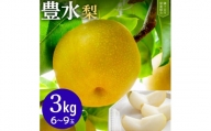 【豊水3kg】かまがや育ちの完熟梨（梨業組合）6～9玉