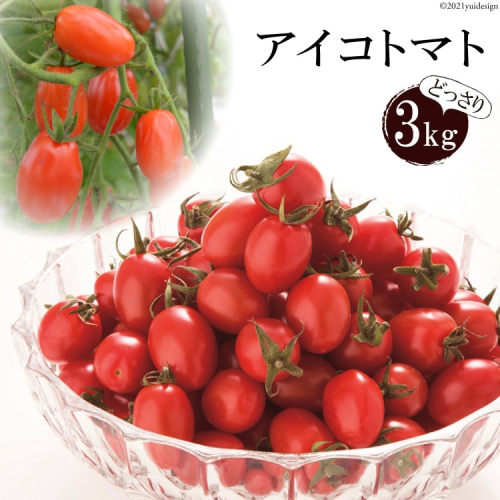 BA001 全国にファンがいる高級フルーツトマト アイコ どっさり！3kg [トマト フルーツトマト 3キロ 山口農園 長崎県 島原市] 77554 - 長崎県島原市