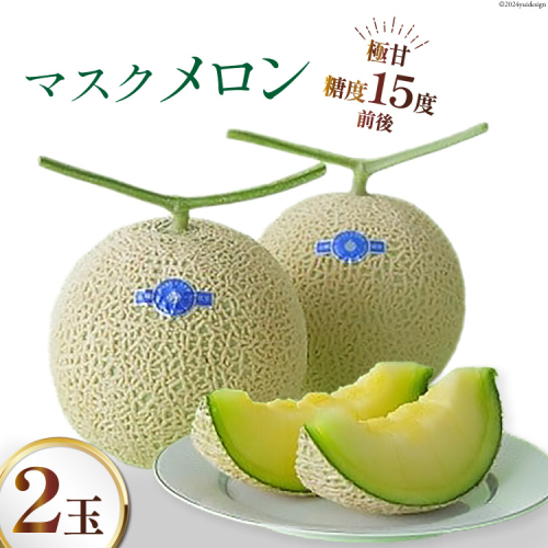 【期間限定発送】AA048 その道一筋の生産者がじっくり丁寧に育てた マスクメロン 2玉入 77568 - 長崎県島原市