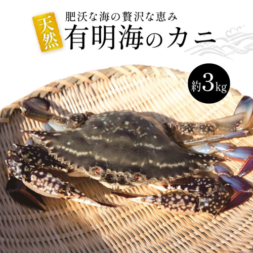 BA061 天然の好漁場・肥沃な海の贅沢な恵み 有明海のカニ [ かに カニ 蟹 ワタリガニ 渡り蟹 ガネ 冷蔵 島原漁業協同組合 長崎県 島原市 ] 77586 - 長崎県島原市