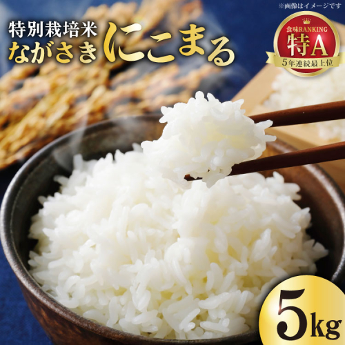 CA023 特別栽培米ながさきにこまる[ 白米 精米 ごはん ご飯 こめ おこめ もちもち おにぎり 粘り おいしい 長崎県産 長崎県産米 長崎にこまる 長崎県 島原市 ] 77589 - 長崎県島原市