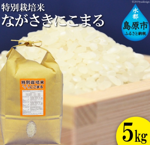 BA023 特別栽培米ながさきにこまる 77589 - 長崎県島原市