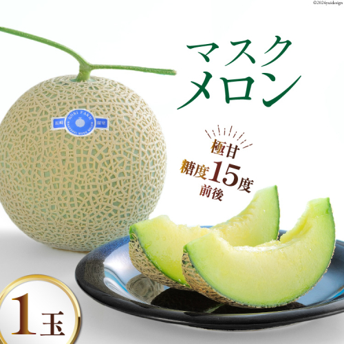 【期間限定発送】AB010 その道一筋の生産者がじっくり丁寧に育てた マスクメロン 1玉入 77597 - 長崎県島原市