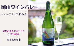 【ふるさと納税】岡山ワインバレーのSparklingHAKUBI（スパークリング白ワイン・辛口）東京ワイナリー醸造