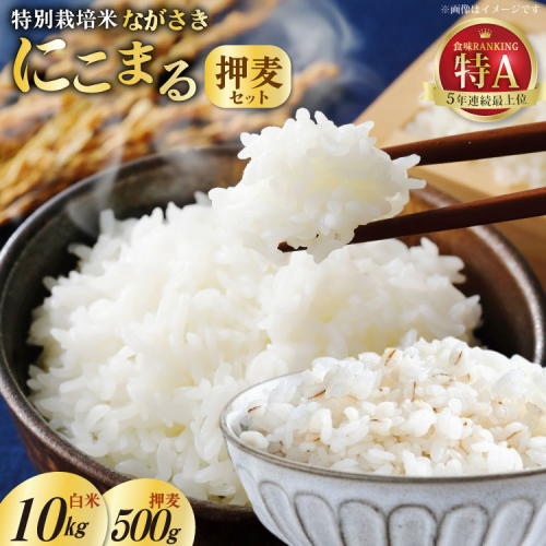 CA053 特別栽培米ながさきにこまる・押麦セット[ 白米 精米 ごはん ご飯 こめ おこめ もちもち おにぎり 粘り おいしい 長崎県産 長崎県産米 長崎にこまる 長崎県 島原市 ] 77611 - 長崎県島原市