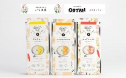 【ふるさと納税】いなほ屋 × cotan 菜食 カレー キット3種 [No.5220-0586]