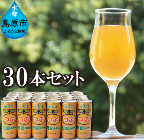 AB018つぶ甘夏みかんドリンクセット 77671 - 長崎県島原市