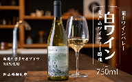 岡山ワインバレー 白ワイン 荒戸山ワイナリー醸造 750ml