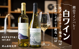 【ふるさと納税】岡山ワインバレー 白ワイン 2本セット 荒戸山ワイナリー醸造750ml・三次ワイナリー醸造720ml