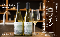 岡山ワインバレー 白ワイン 2本飲み比べセット 荒戸山ワイナリー醸造 750ml
