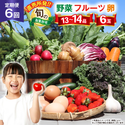 CH113 【6回定期便】 野菜・フルーツ・卵 旬のおまかせセット （野菜・フルーツ13～14種、卵6玉） [ 野菜セット 野菜 フルーツ 果物 たまご 鶏卵 産地直送 厳選 長崎県 島原市 送料無料] 77707 - 長崎県島原市