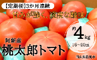 【定期便】阿新産桃太郎トマト 1箱 約4kg 16～20玉 3か月連続お届け 【2024年7～9月限定】