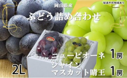 配達不可：北海道・沖縄・離島岡山を代表する果物、シャインマスカット晴王とニューピオーネの詰め合わせです。ニューピオーネは岡山生まれの種なし葡萄です。食べ応え抜群の大粒、芳醇で溢れるほどの甘い果汁と16